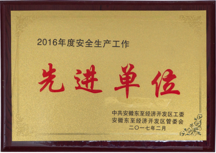 2016年(nián)度安全生(shēng)産工(gōng)作(zuò)先進單位