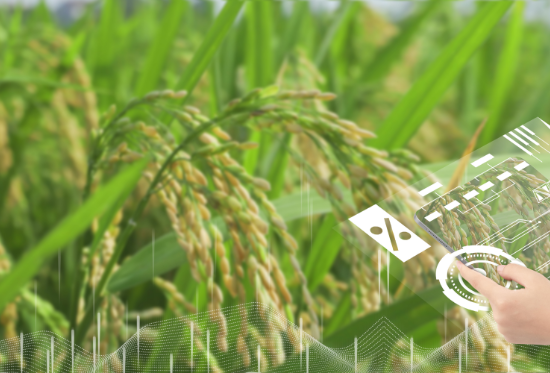 微(wēi)生(shēng)物(wù)除草(cǎo)劑的(de)發展前景樂(yuè)觀