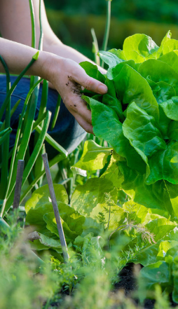 蘇州相(xiàng)城(chéng)區(qū)