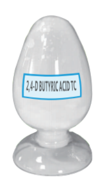 2，4-滴丁酸原藥