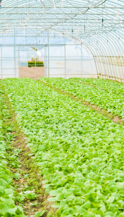 上(shàng)海(hǎi)靜(jìng)安區(qū)