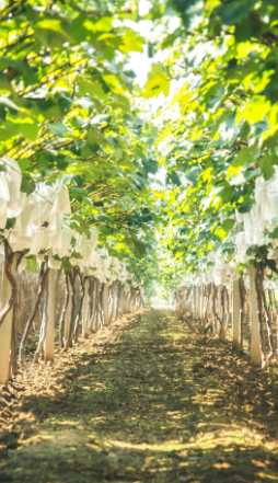 烏魯木(mù)齊天山(shān)區(qū)