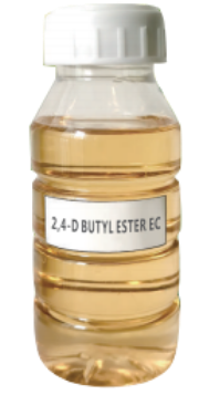2，4-滴丁酯乳油